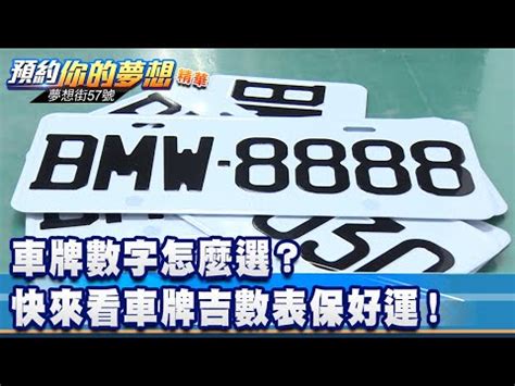 車牌 意思|號牌大揭密之”數字會說話”!!